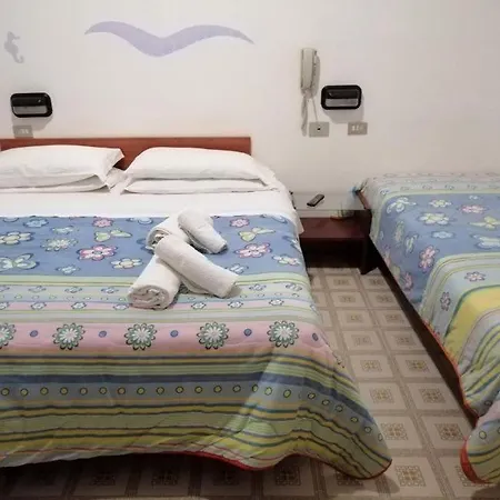 Hotel Criss-2